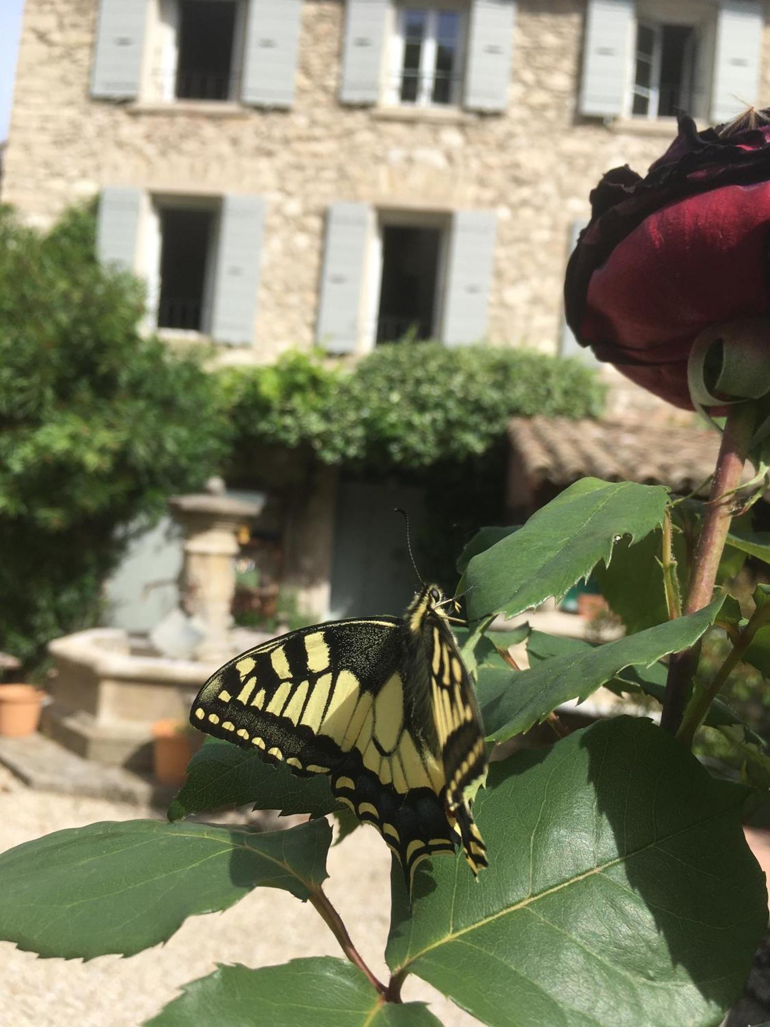 La Figuiere Fontaine De Vaucluse Bed and Breakfast Εξωτερικό φωτογραφία